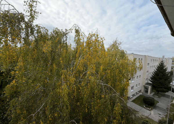 🏡 Na predaj útulný 1-izbový byt v Bratislave – Staré záhrady