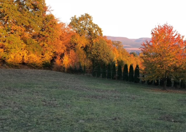 ,, PREDAJ ,, rekreačný pozemok s nádherným výhľadom na Prešov