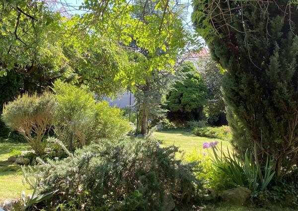 RD na predaj, lokalita Spiegelsalle, ul. Petra Pazmaňa, pozemok až 719m2, úžitková plocha 200m2, garáž, pivnica, 3D obhliadka