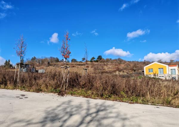 PREDAJ Stavebný pozemok Modra, Harmónia - Vesťáková horáreň