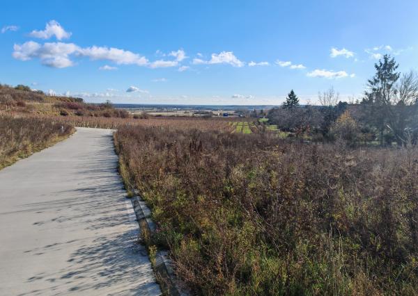 PREDAJ Stavebný pozemok Modra, Harmónia - Vesťáková horáreň