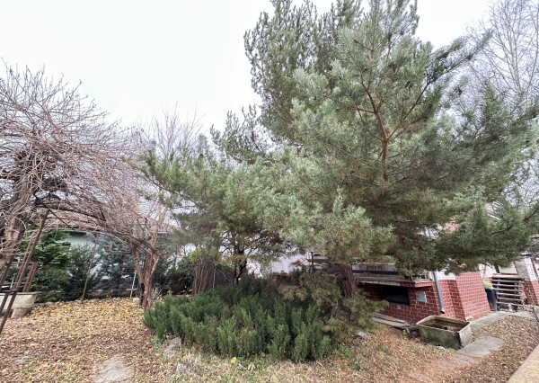 🔑 TOP PONUKA: NA PREDAJ! Obrovský Rodinný Dom so 100% Potenciálom v Seredi!