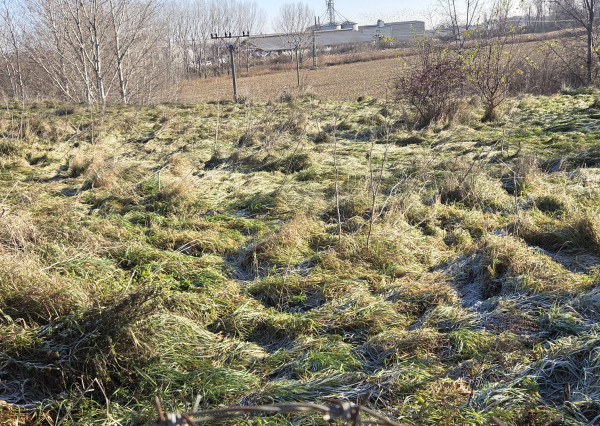 Pozemok na predaj na podnikanie - TOP lokalita.