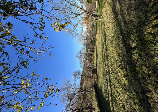 Rodinný dom v pôvodnom stave, vhodný na bývanie – Obec Cerová, Záhorie