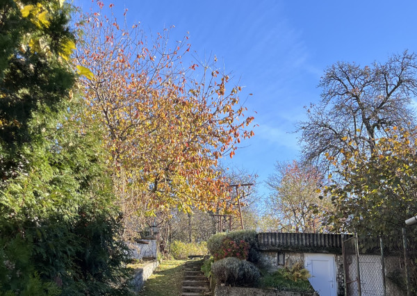 Rodinný dom v pôvodnom stave, vhodný na bývanie – Obec Cerová, Záhorie