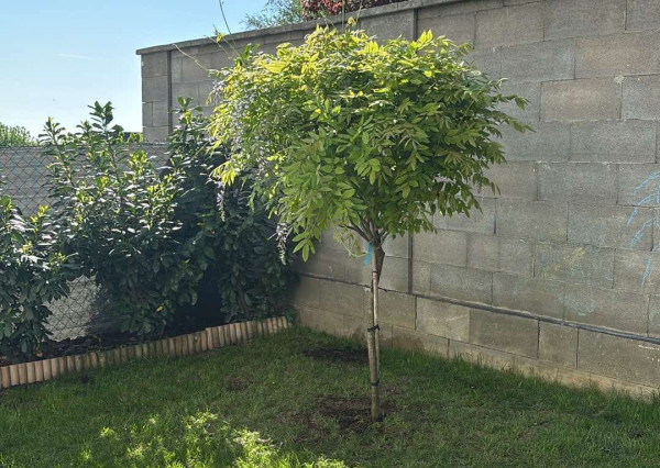 3-IZBOVÝ BYT S VLASTNOU ZÁHRADOU  NOVOSTAVBA  MODRANKA