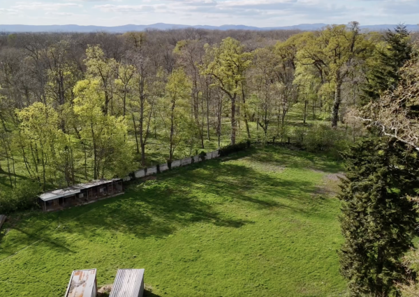 Multifunkčný pozemok s obrovským potenciálom – Voderady