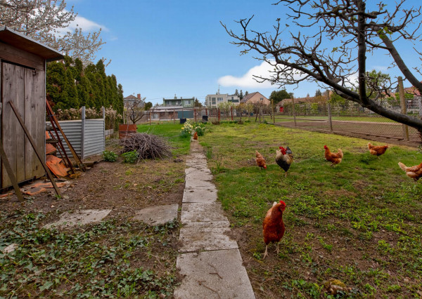 PRIESTRANNÝ 5-IZBOVÝ DOM NA VEĽKOM POZEMKU (1 142 m²) S OBROVSKÝM POTENCIÁLOM | Križovany nad Dudváhom
