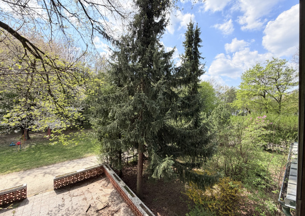 Obrovská chata v pôvodnom stave na úpätí Malých Karpát–Vývrat, Rohožník