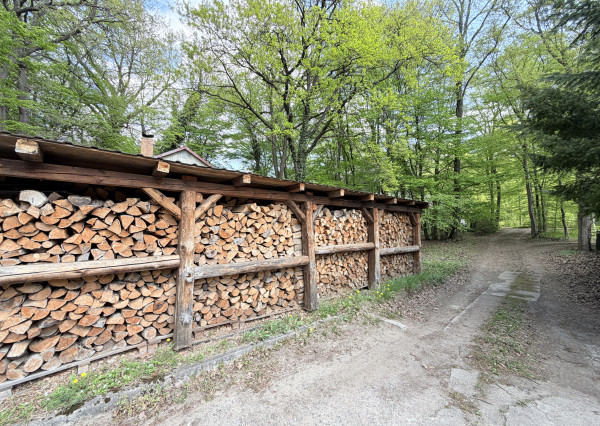Obrovská chata v pôvodnom stave na úpätí Malých Karpát–Vývrat, Rohožník