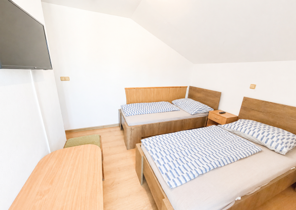 🏡NA PREDAJ-INVESTIČNÁ NEHNUTEĽNOSŤ S FUNGUJÚCIM PRENÁJMOM, Trebatice