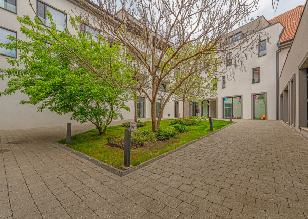 KRÁSNE PRIESTORY, výmera 162,22m2, reštaurácia-bar(alebo iné využitie)  Trnava, ul. Štefánikova