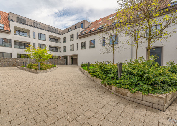 KRÁSNE PRIESTORY, výmera 162,22m2, reštaurácia-bar(alebo iné využitie)  Trnava, ul. Štefánikova