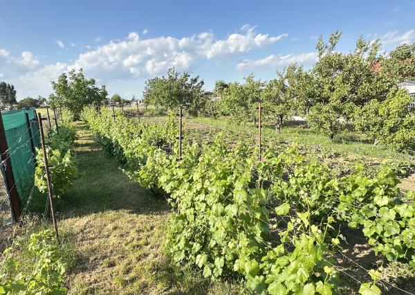 Exkluzívne!!! Na predaj veľkorysý slnečný stavebný pozemok výmera až 4092m2, šírka 18m, Šúrovce,