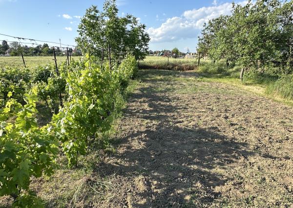Exkluzívne!!! Na predaj veľkorysý slnečný stavebný pozemok výmera až 4092m2, šírka 18m, Šúrovce,