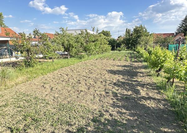 Exkluzívne!!! Na predaj veľkorysý slnečný stavebný pozemok výmera až 4092m2, šírka 18m, Šúrovce,