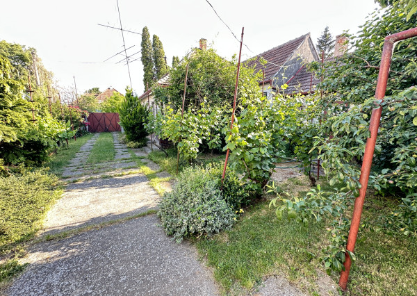 Exkluzívne!!! Na predaj veľký stavebný pozemok výmera 1446m2, šírka 18m, Šúrovce, možnosť dokúpiť ďalší priľahlý pozemok