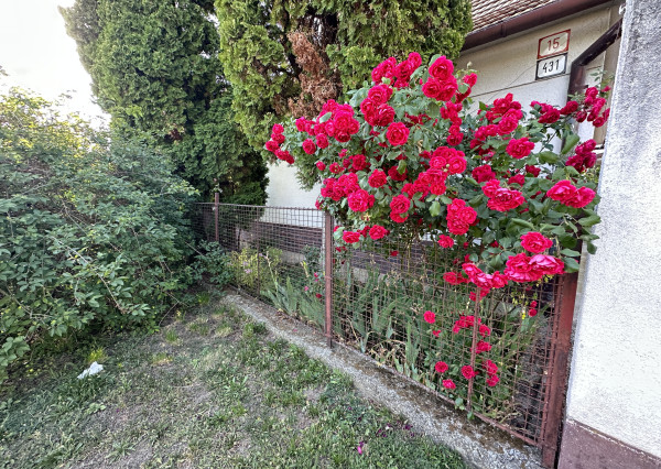 Exkluzívne!!! Na predaj RD s veľkým stavebným pozemkom výmera 1446m2, šírka 18m, Šúrovce, možnosť dokúpiť ďalšie priľahlé pozemky