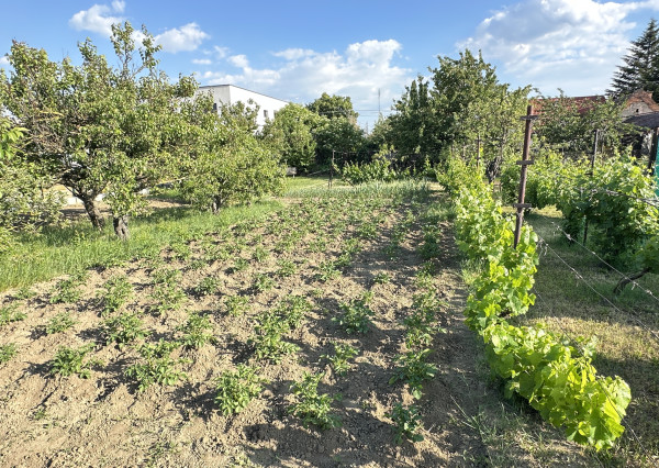 Exkluzívne!!! Na predaj RD s veľkým stavebným pozemkom výmera 1446m2, šírka 18m, Šúrovce, možnosť dokúpiť ďalšie priľahlé pozemky