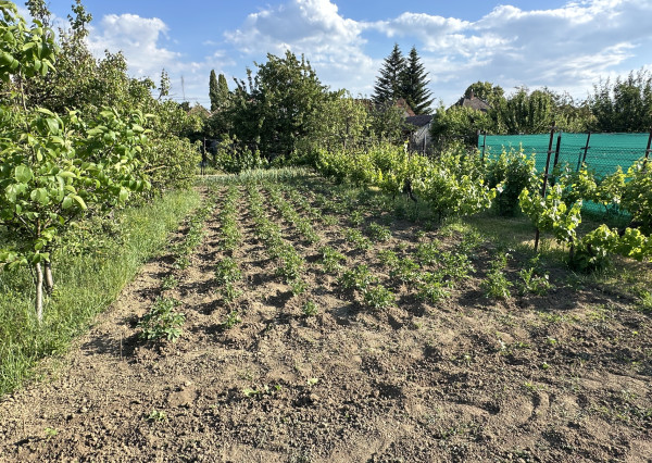 Exkluzívne!!! Na predaj RD s veľkým stavebným pozemkom výmera 1446m2, šírka 18m, Šúrovce, možnosť dokúpiť ďalšie priľahlé pozemky