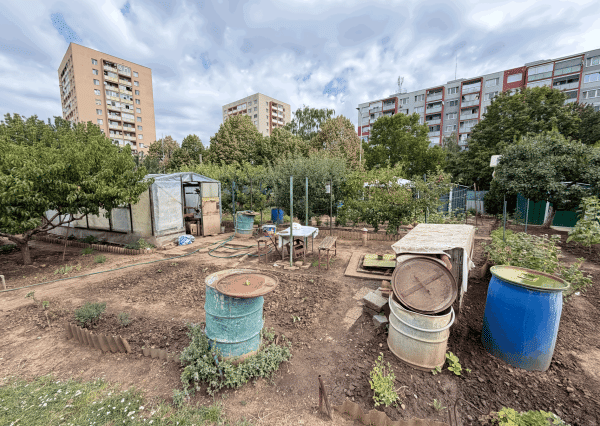 ZÁHRADKA V OSOBNOM VLASTNÍCTVE , 239 m²,  NERUDOVA ul., TRNAVA