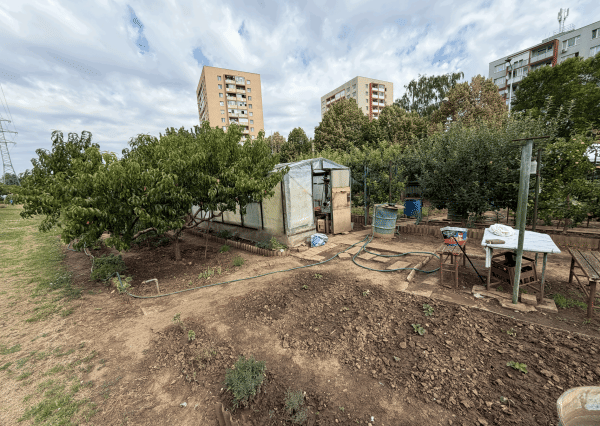 ZÁHRADKA V OSOBNOM VLASTNÍCTVE , 239 m²,  NERUDOVA ul., TRNAVA