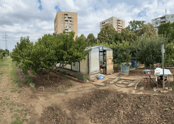 ZÁHRADKA V OSOBNOM VLASTNÍCTVE , 239 m²,  NERUDOVA ul., TRNAVA