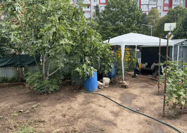 ZÁHRADKA V OSOBNOM VLASTNÍCTVE , 239 m²,  NERUDOVA ul., TRNAVA