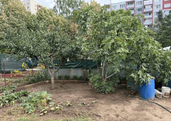 ZÁHRADKA V OSOBNOM VLASTNÍCTVE , 239 m²,  NERUDOVA ul., TRNAVA