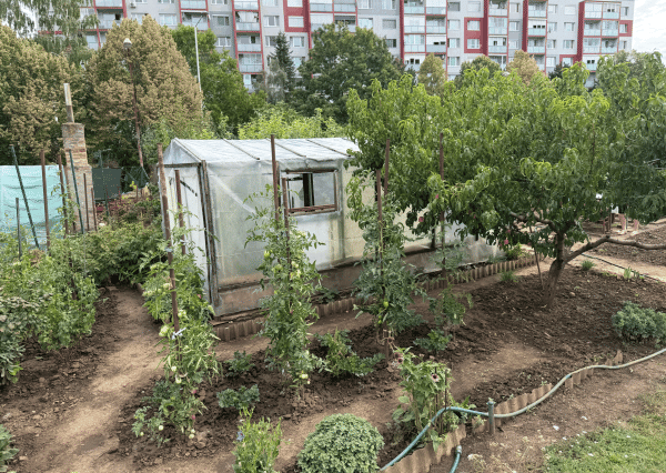 ZÁHRADKA V OSOBNOM VLASTNÍCTVE , 239 m²,  NERUDOVA ul., TRNAVA