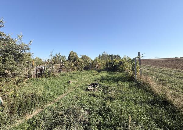CHATA S VEĽKÝM POZEMKOM A VINICOU VO VINOHRADOCH NAD VÁHOM