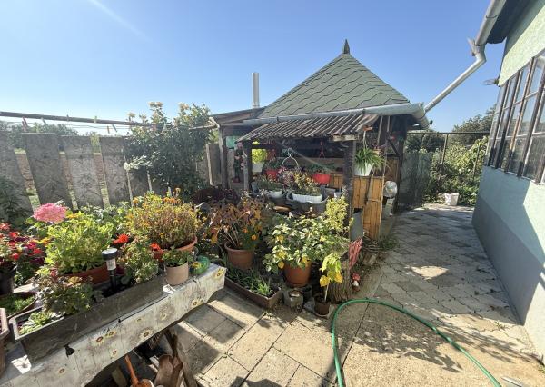 CHATA S VEĽKÝM POZEMKOM A VINICOU VO VINOHRADOCH NAD VÁHOM