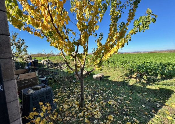 ,, ZĽAVA ,,  moderný 4-izbový rodinný dom Veľký Biel