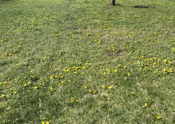 Rodinný dom Hlohovec