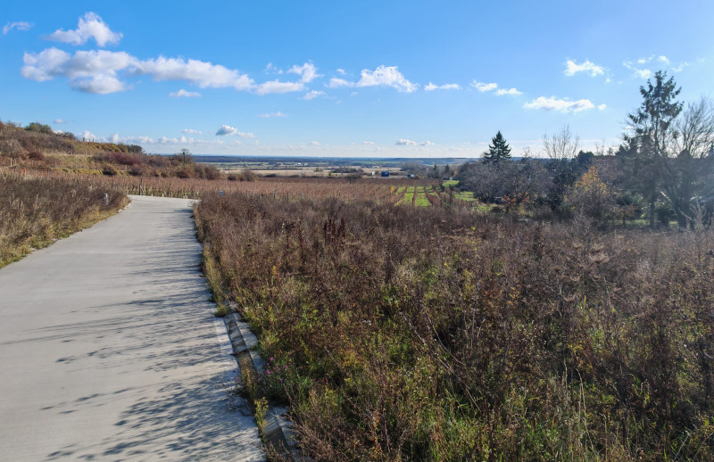 PREDAJ Stavebný pozemok Modra, Harmónia - Veštíková horáreň