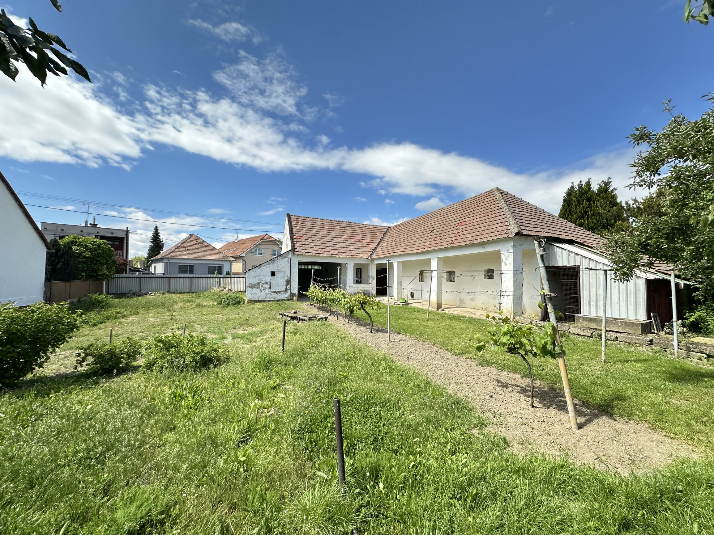 Rodinný dom s veľkým pozemkom a potenciálom – Siladice