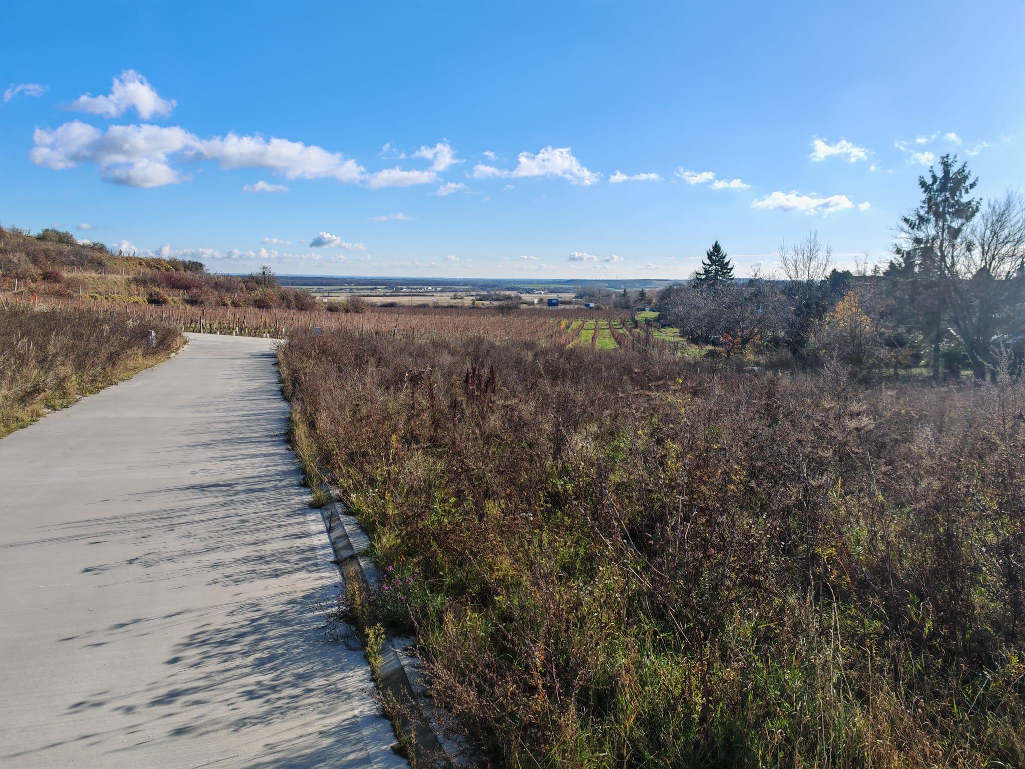 PREDAJ Stavebný pozemok Modra, Harmónia - Veštíková horáreň