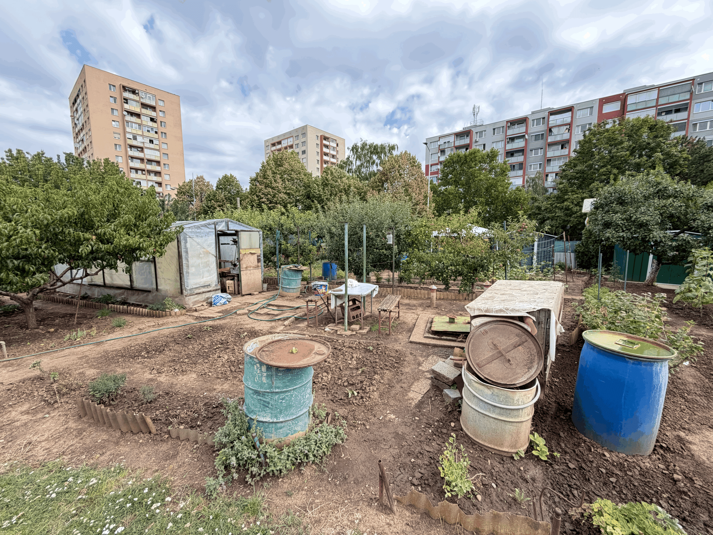 ZÁHRADKA V OSOBNOM VLASTNÍCTVE , 239 m²,  NERUDOVA ul., TRNAVA